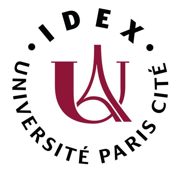 IdEX Université de Paris: Émergence en recherche 2020. Toward a computational model of the affective representation of social scenes (2021)
